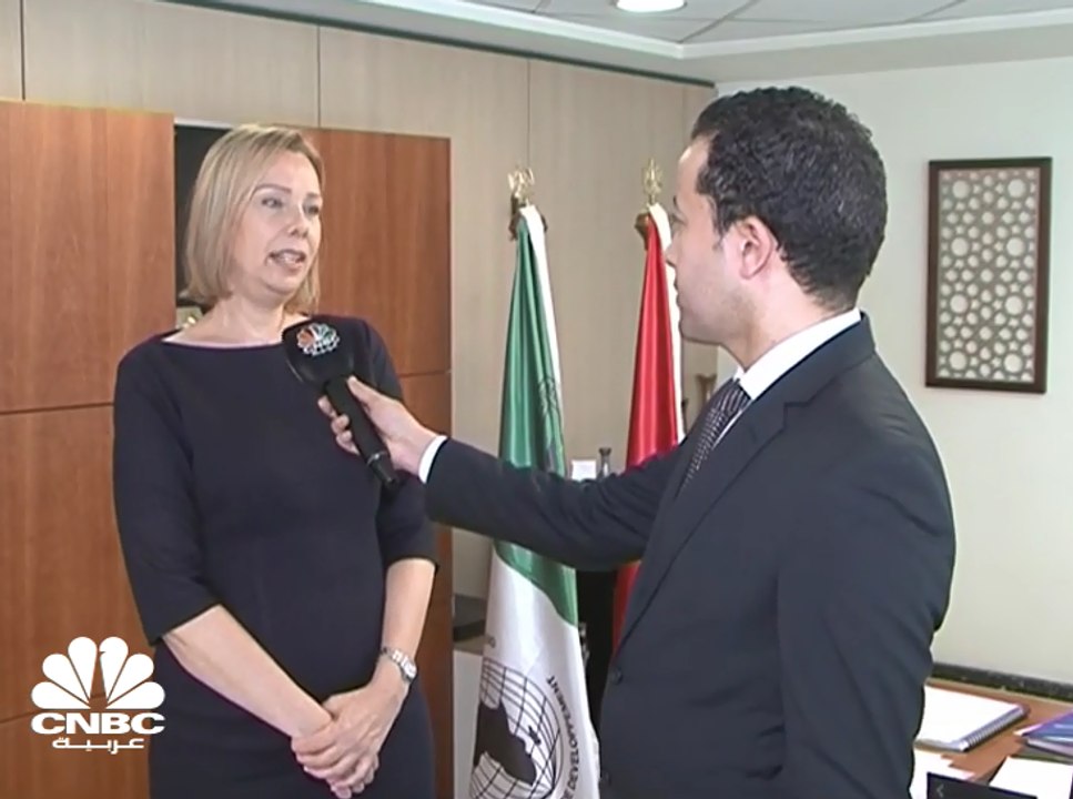 المديرة الإقليمية للبنك الأفريقي للتنمية بمصر ل...