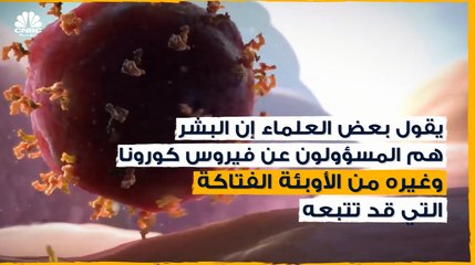 العلماء يقولون إن الإنسان هو المسؤول الأول عن فيروس كورونا وغيره من الأوبئة وليست الحيوانات