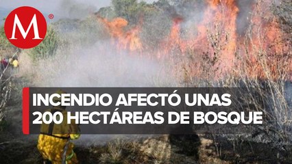 Incendio en Nevado de Colima afectó cerca de 200 héctarias de bosque