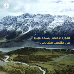 اللون الأخضر يبرز في القطب الشمالي، كما أن هنالك نباتات بدأت تنمو بعد أن كانت متجمدة لآلاف السنين!