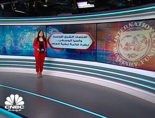 صندوق النقد  يتوقع تراجعاً هو "الأكبر" منذ 50 عاماً لاقتصادات الشرق الأوسط وآسيا الوسطى