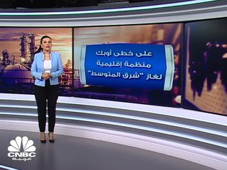 على خطى أوبك .. منظمة إقليمية لغاز شرق المتوسط
