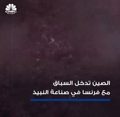 نينغشيا الصينية تنافس بوردو الفرنسية على عرش النبيذ العالمي!