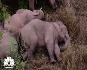 ما هي حكاية 14 فيلا في الصين؟