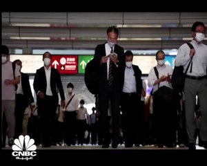 كيف تسببت "سلحفاة" بتأخير رحلة الركاب في اليابان؟