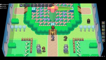 PokeMMO #3_ Deuxième Badge