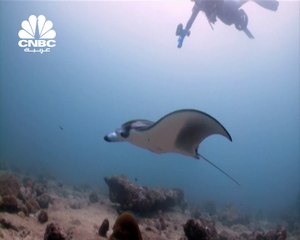 كنوز مُهملة بأكثر من 24 تريليون دولار !