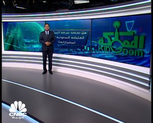 هل تحصد شركة المملكة القابضة السعودية ثمار استثماراتها؟
