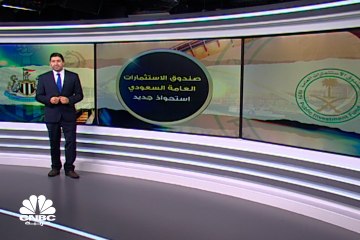 السعودية تعزز من استثماراتها الرياضية... صندوق الاستثمارات العامة يستحوذ على Newcastle United