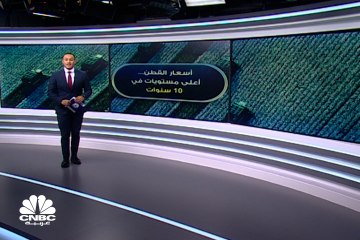 لماذا صعد القطن لأعلى مستوياته في 10 سنوات؟