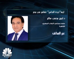 عضو مجلس النواب المصري أيمن سالم لـCNBC عربية: مصر تستورد مايزيد عن 2000 طن سنوياً من خردة النحاس لتلبية السوق المحلية