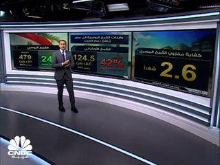 رغم الحرب.. واردات القمح الروسي إلى مصر تقفز 24% على أساس سنوي