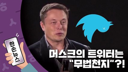 [한손뉴스] 트위터 인수한 머스크..."무법천지" vs "표현의 자유 성지"  / YTN