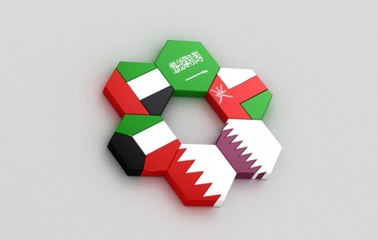 هل تنجح دول الخليج في عمليات الخصخصة؟