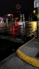 “Live“ Bomberos de diferentes municipios trabajan para levantar árboles tras la lluvia en la ZMG