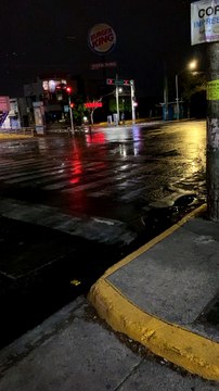 “Live“ Bomberos de diferentes municipios trabajan para levantar árboles tras la lluvia en la ZMG