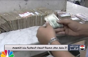 21 مليار دولار حصيلة البنوك الدولارية منذ التعويم
