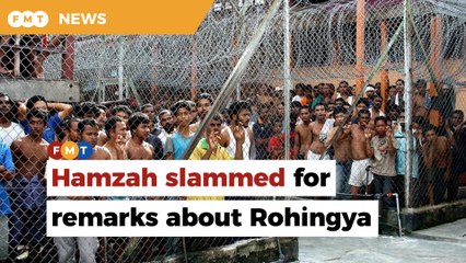 We can’t put Rohingya in detention centres and throw away the keys, says MP