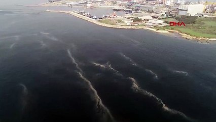 Müsilaj İstanbul'a geri mi dönüyor? Kıyılarda her geçen gün artıyor!