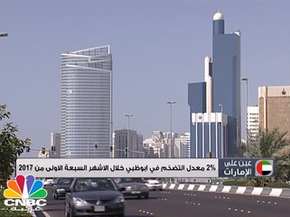 350 ألف شركة ستبدأ التسجيل للتحصيل الضريبي في الامارات