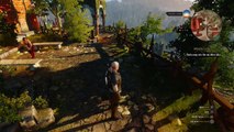 The Witcher 3 - Broken Flowers: Find A Way Into Attre's Villa, Petris Philter Manuscript Location PS4 Gameplay