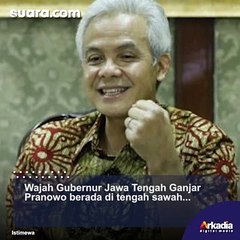 Keren! Ada Padi Pariwulung dan Gambar Ganjar Pranowo di Tengah Sawah
