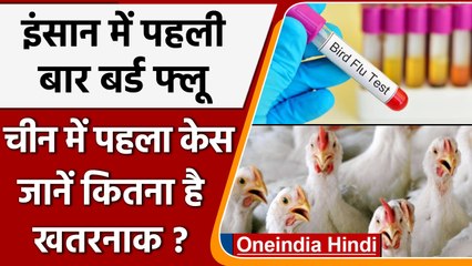 H3N8 Bird Flu: China में पहली बार इंसान में मिला Bird Flu, जानें कितना है खतरनाक ? | वनइंडिया हिंदी