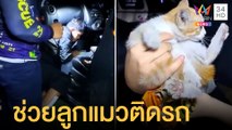 กู้ภัยใจเด็ด หิ้วไม้เท้าช่วยเหลือลูกแมวติดในรถ | ข่าวเที่ยงอมรินทร์ | 27 เม.ย.65