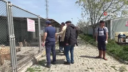 Barınaktan sahiplenilen 'Bal'ın yeni yuvası okul oldu