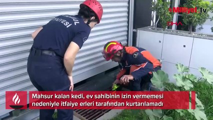 Avcılar'da mahsur kalan kedi için gelen itfaiyeye ev sahibi engeli