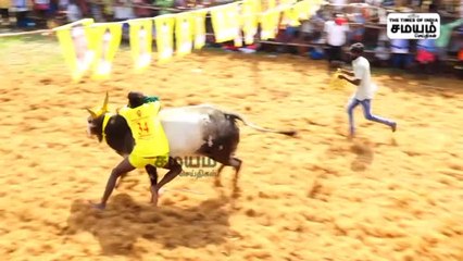திருச்சுழி ஜல்லிக்கட்டு போட்டி; களமிறங்கிய காளைகள்; அடக்கிய வீரர்கள்!