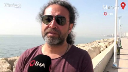 Mersin kıyı şeridinde görülen denizanalarının sayısı her geçen gün azalıyor