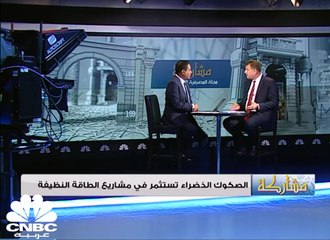 ستاندر أند بورز تؤكد أن اصدارات الصكوك الخضراء بحاجة إلى إجراءات تنظيمية