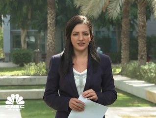 إقامات طويلة الأمد لـ 5 فئات تدخل حيز التنفيذ في الإمارات