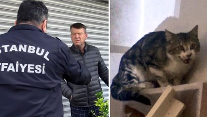 Mahsur kalan kediyi kurtarmaya gelen ekiplere, ev sahibi izin vermedi