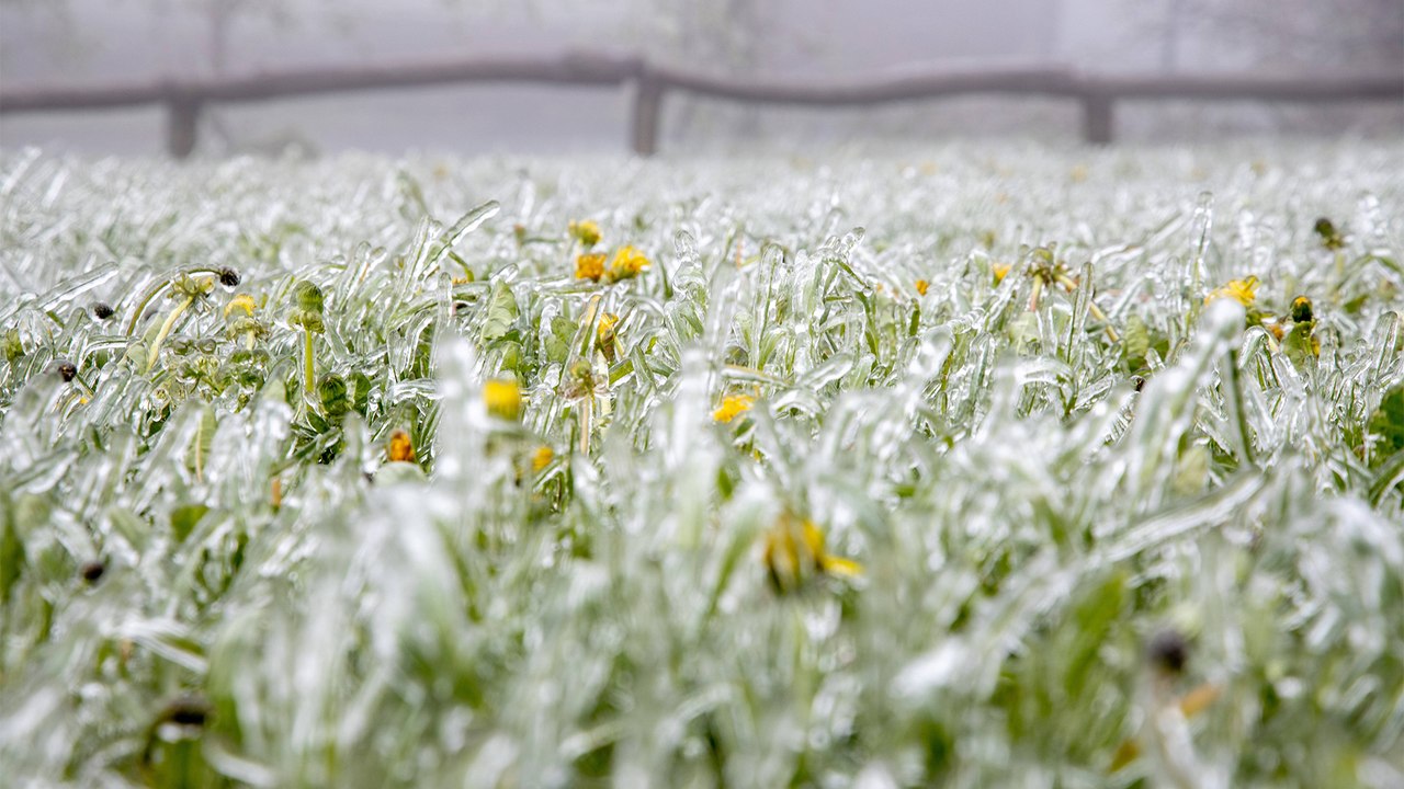 Die eisheiligen im mai 2022: frostgefahr oder nur mythos?