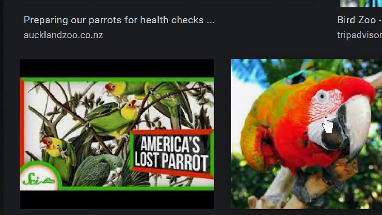 Live UFO chat with Paul; OT Chan - 029 - More Laughable UFO claims and Topics~ - 1920x1080 4855K-Pt2