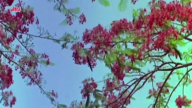 Haathon Main Haath Honthon Pe /Film: Door Ki Awaaz 1964