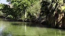 'Girl flies straight into tree after refusing to let go of rope swing *Funny* '