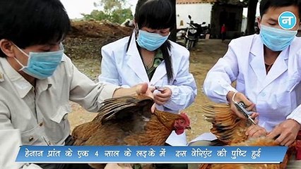 कोरोना के बीच दुनिया में कहर मचा सकता है ये वायरस, इंसानों में पहली बार इस स्ट्रेन की पुष्टि