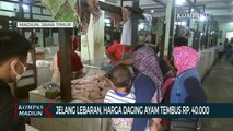 Jelang Lebaran, Harga Daging Ayam Tembus Rp. 40.000