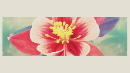 Zapukaj do moich drzwi - odc.95