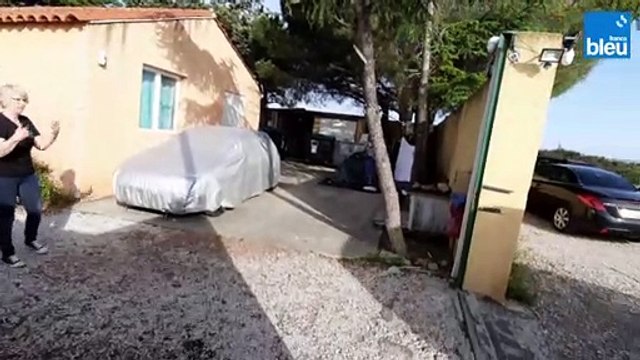 Cinq chiens ukrainiens recueillis dans un refuge catalan