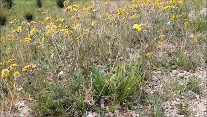 See the new nature reserve at Chichester