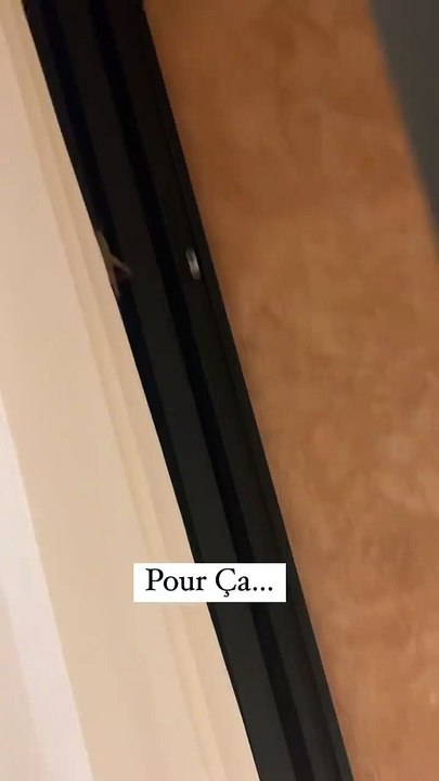 Vitaa et ses enfants font face à une sauterelle chez eux @ Instagram / Vitaa