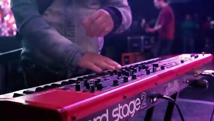 Bohemia Suburbana  - Peces e Iguanas