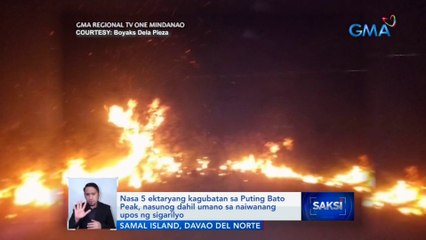 Nasa 5 ektaryang kagubatan sa Puting Bato Peak, nasunog dahil umano sa naiwanang upos ng sigarilyo | Saksi