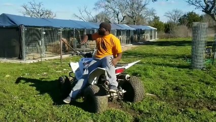 Attacking the backyard with some of our beautiful rottweilers
