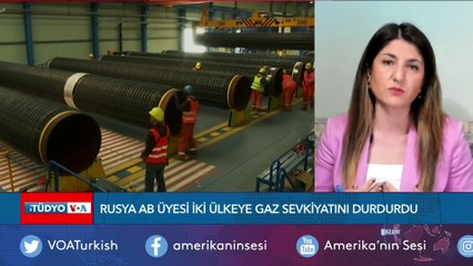 Rusya Polonya ve Bulgaristan'a Doğalgazı Kesti