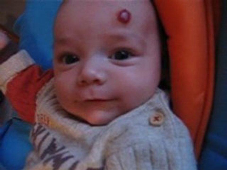 Oh les jolis animaux!